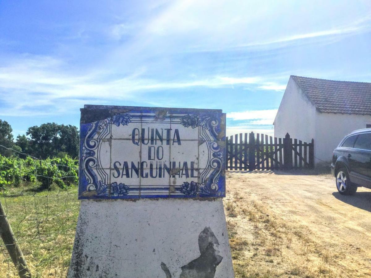 Quinta Do Sanguinhal Villa Rio Maior Exterior photo